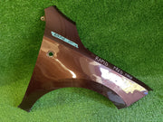 Pravý blatník Škoda Rapid před face